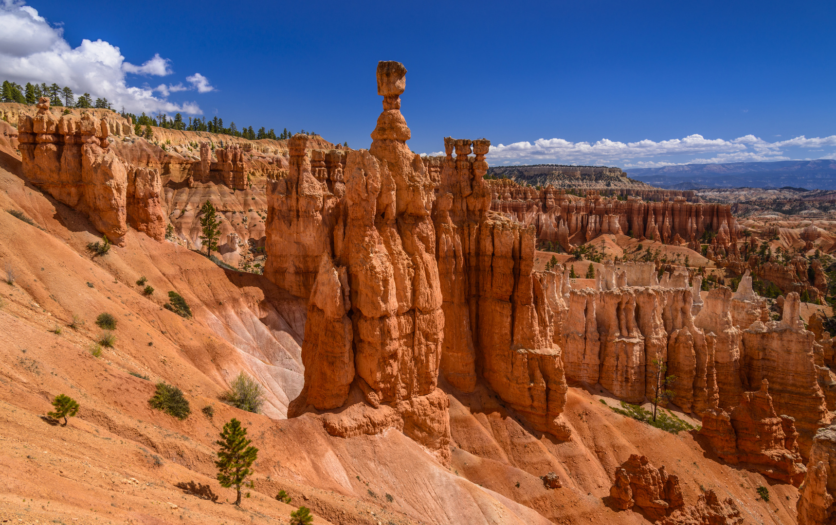 Thors Hammer, Bryce Canyon NP, Utah, USA Foto & Bild sandstein