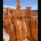 Thor's Hammer im Bryce Canyon