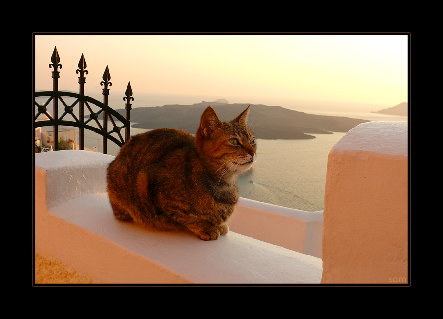 those lazy greek evenings...