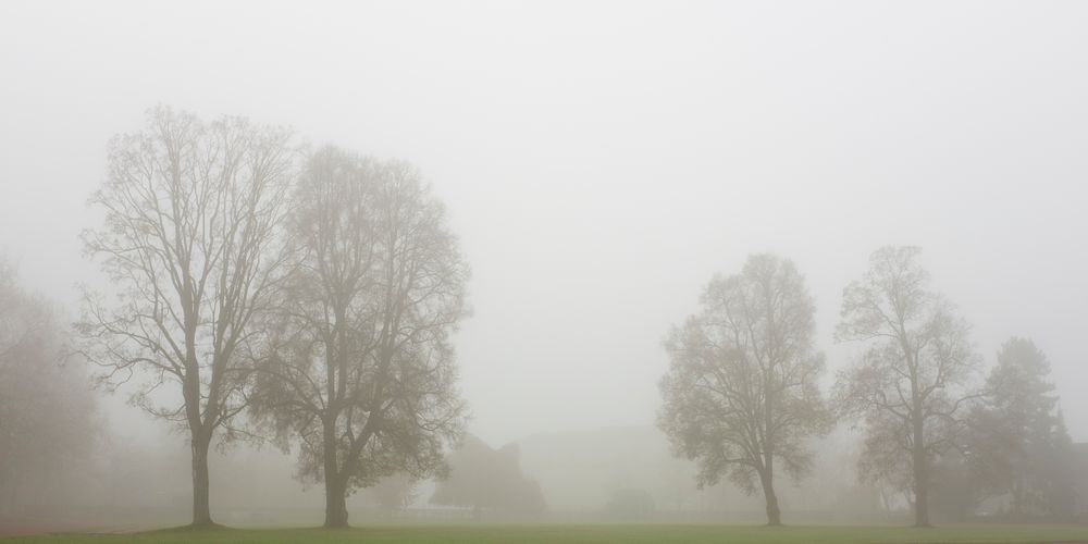 Thoughtful holding out in the fog