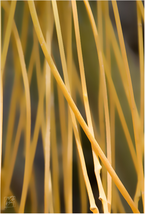 Threaded palm