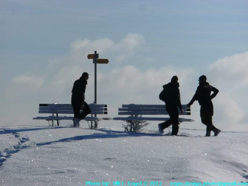 Three black guys in snow white winter landscape II