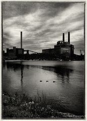 Three ducks and powerplant