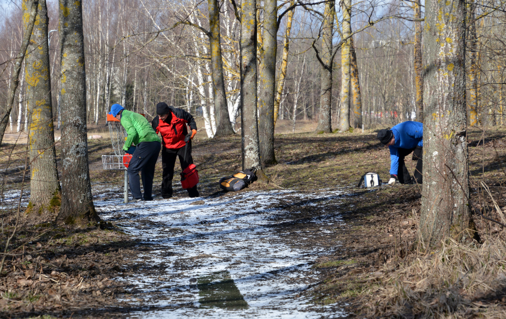 Three frisbeegolf fellows on different colours