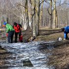 Three frisbeegolf fellows on different colours