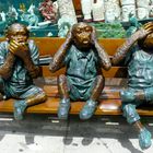 Three funny monkeys.