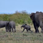 Three generations