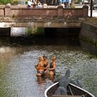 Three graces on Rauma channel