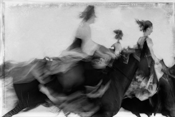 Three Horses on the Beach