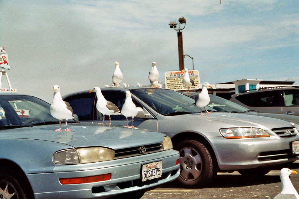 Three hours free parking