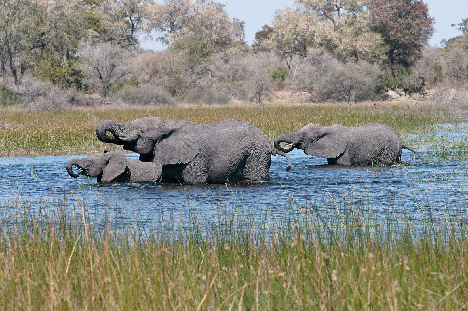 three in a row