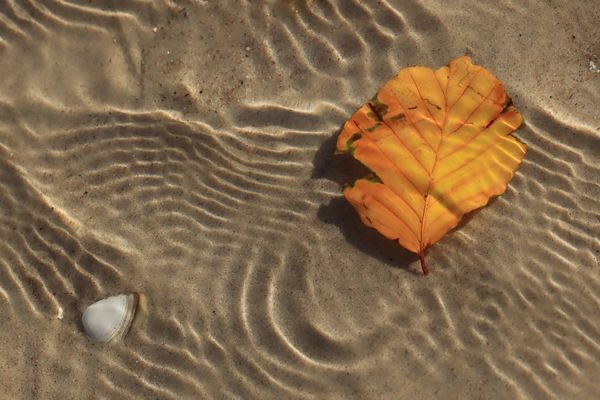 ... three in one ...