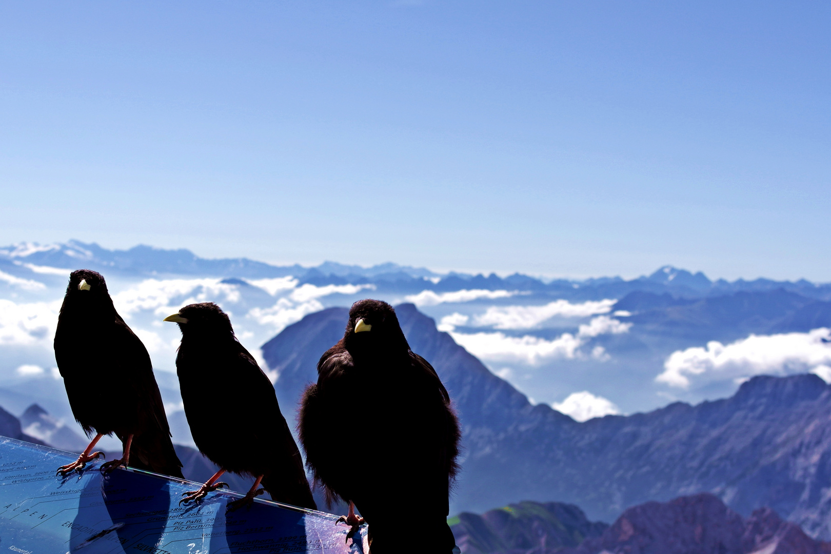 Three little birds - Zugspitze