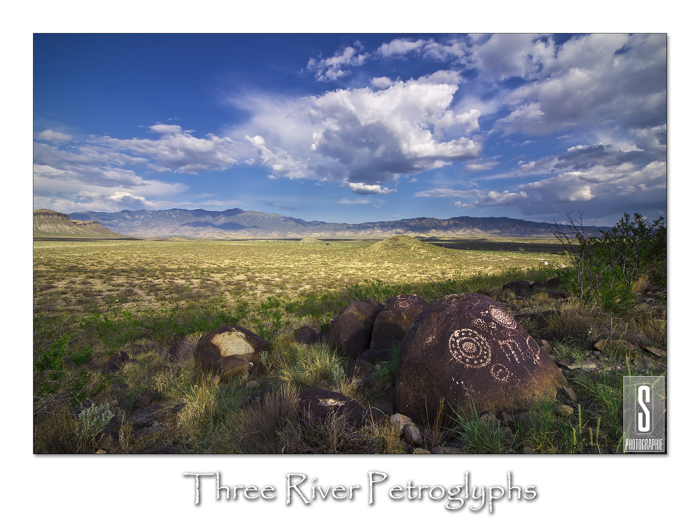 Three Rivers Petroglyphs