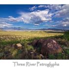 Three Rivers Petroglyphs