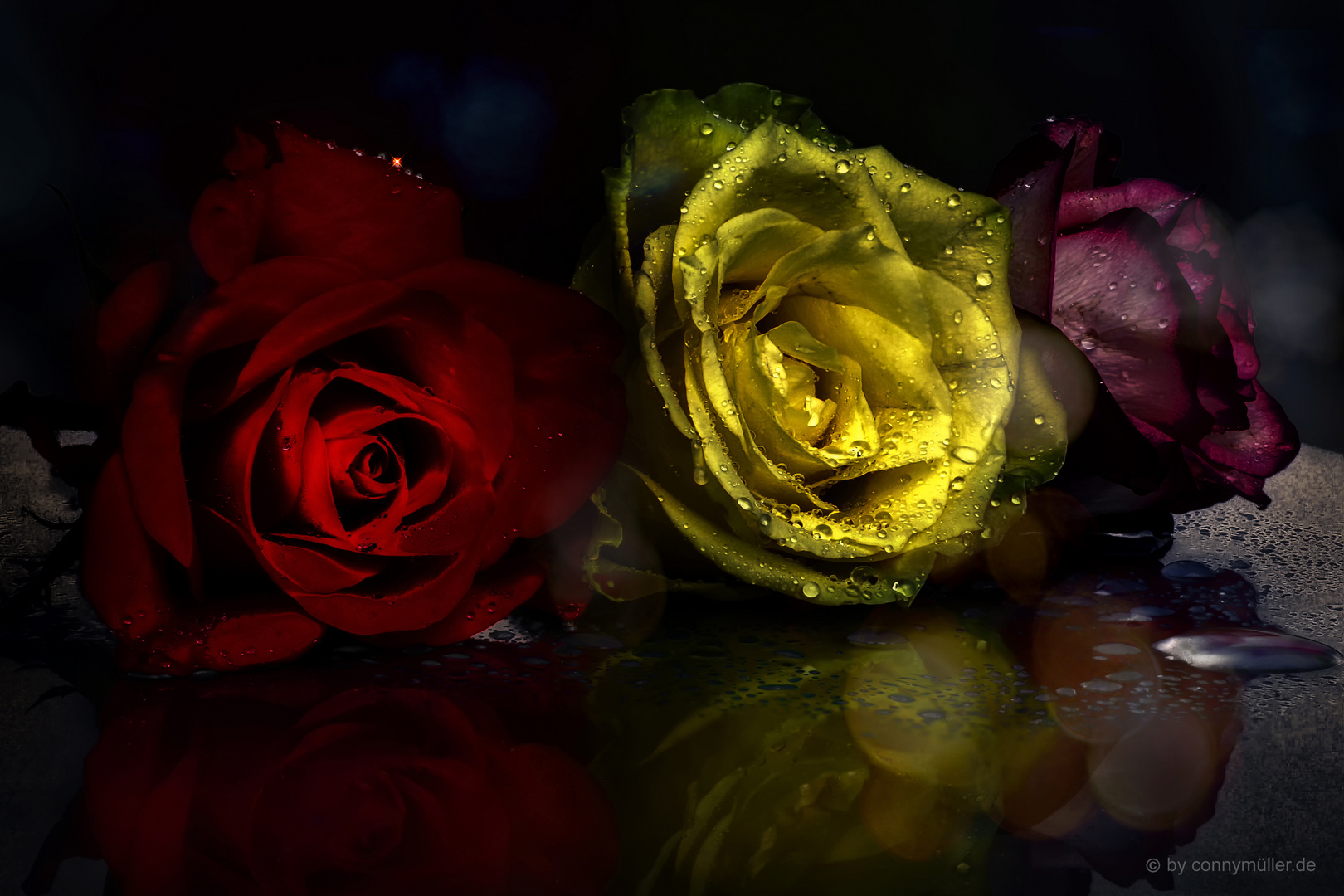 Three Roses