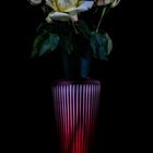 THREE ROSES, A VASE AND ONE LIGHT