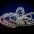 three times tiger and turtle