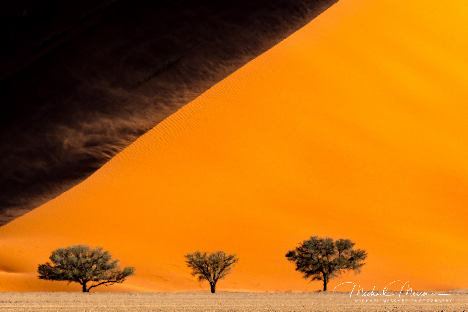 Three tree Dune