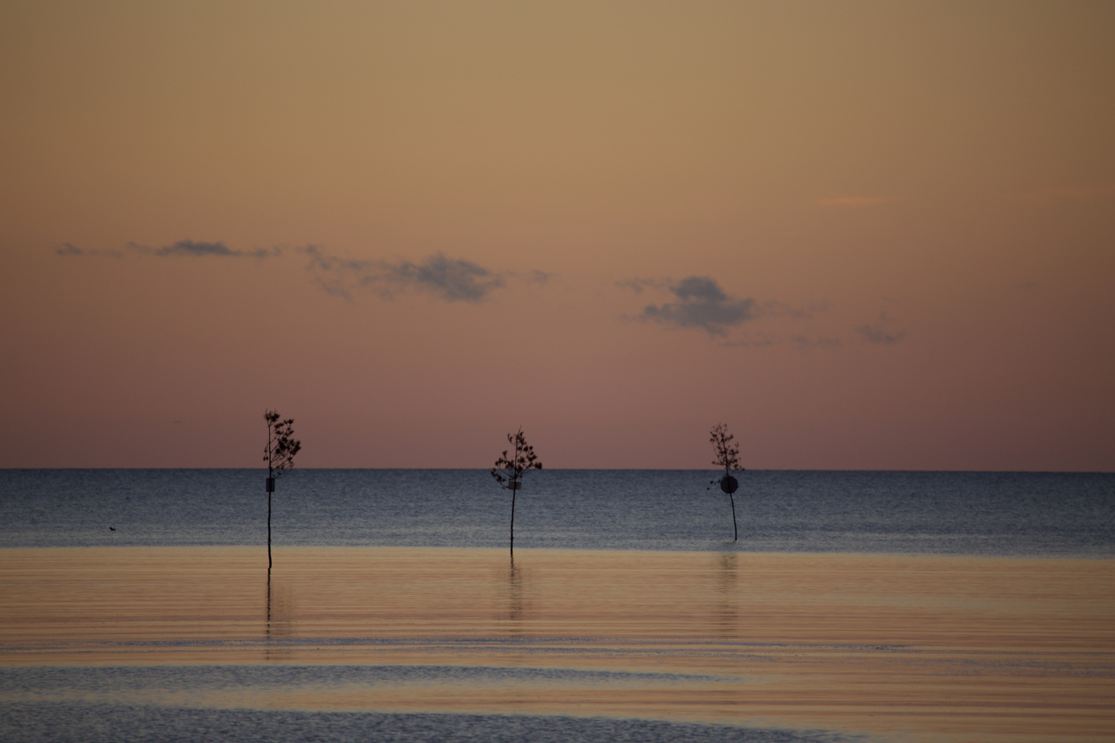 Three Trees