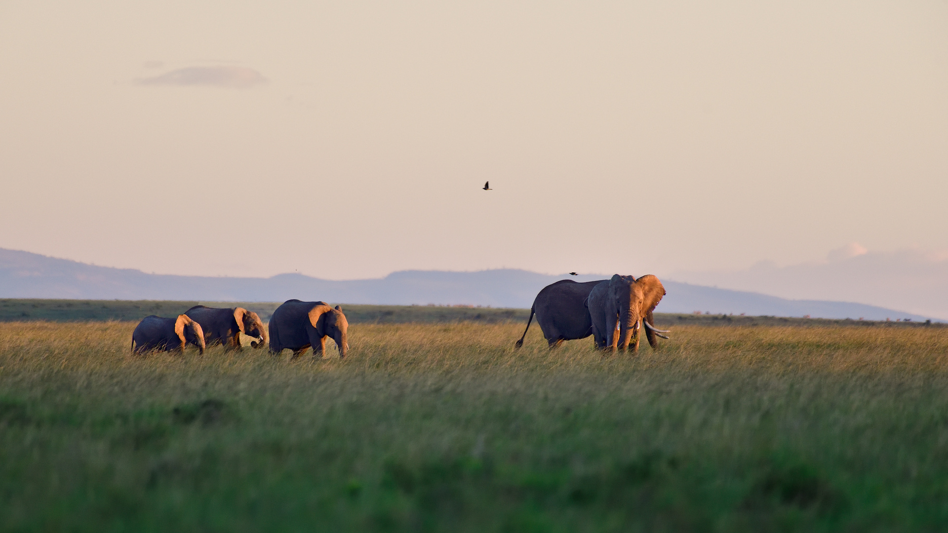 Three youngsters in tow