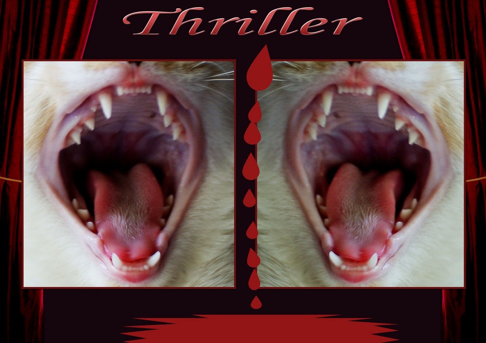 Thriller für Christine