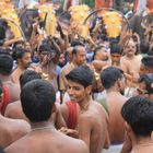 Thrissur Pooram