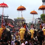 Thrissur Pooram-Die ersten Elefanten kommen