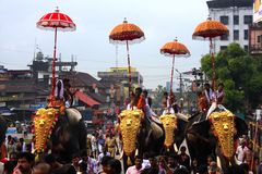 Thrissur Pooram-Die ersten Elefanten kommen