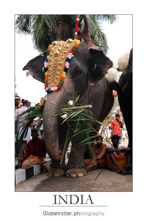 Thrissur Pooram [eleven]