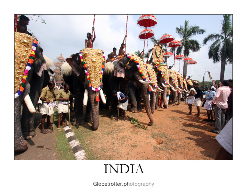 Thrissur Pooram [six]