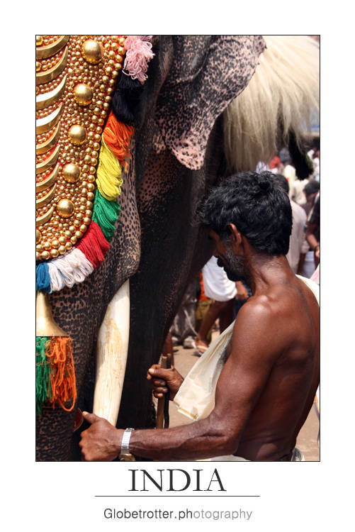 Thrissur Pooram [thirteen]