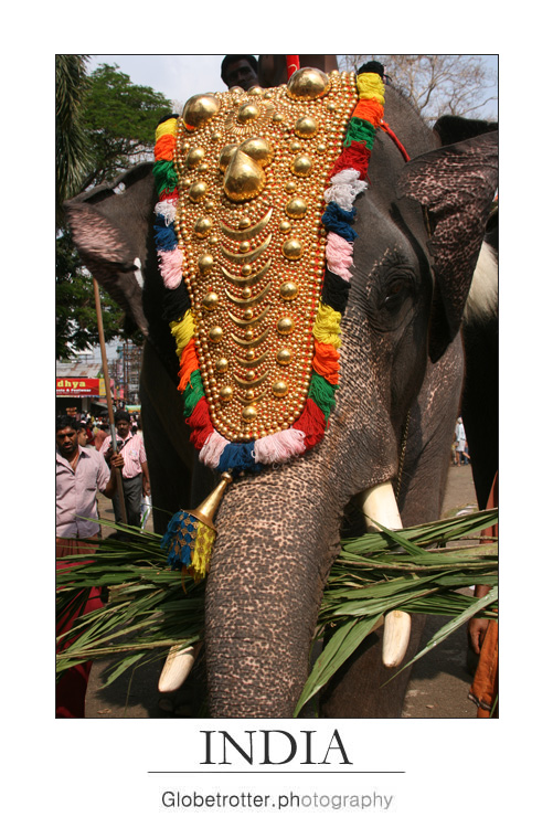 Thrissur Pooram [three]