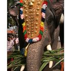 Thrissur Pooram [three]