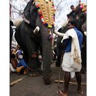 Thrissur Pooram [twelve]