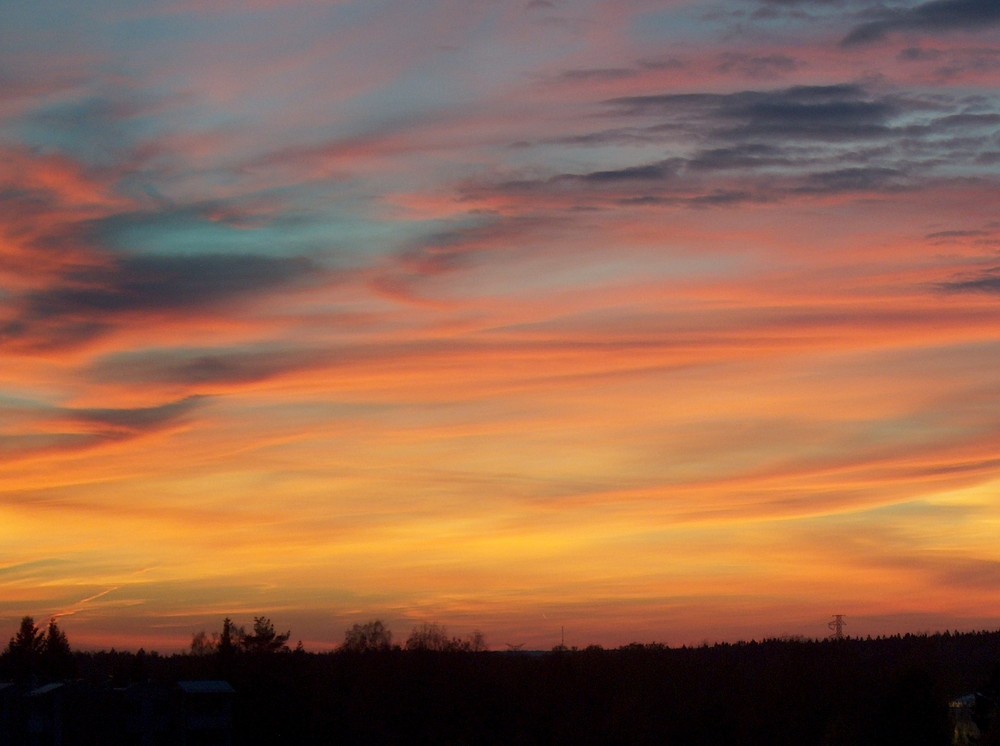 Through my kitchen window...