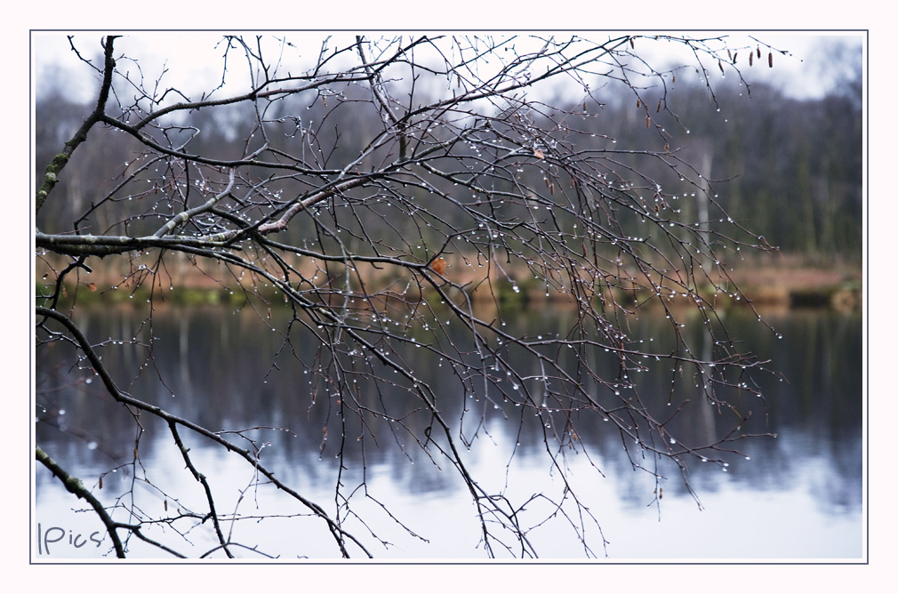 Through raindrops