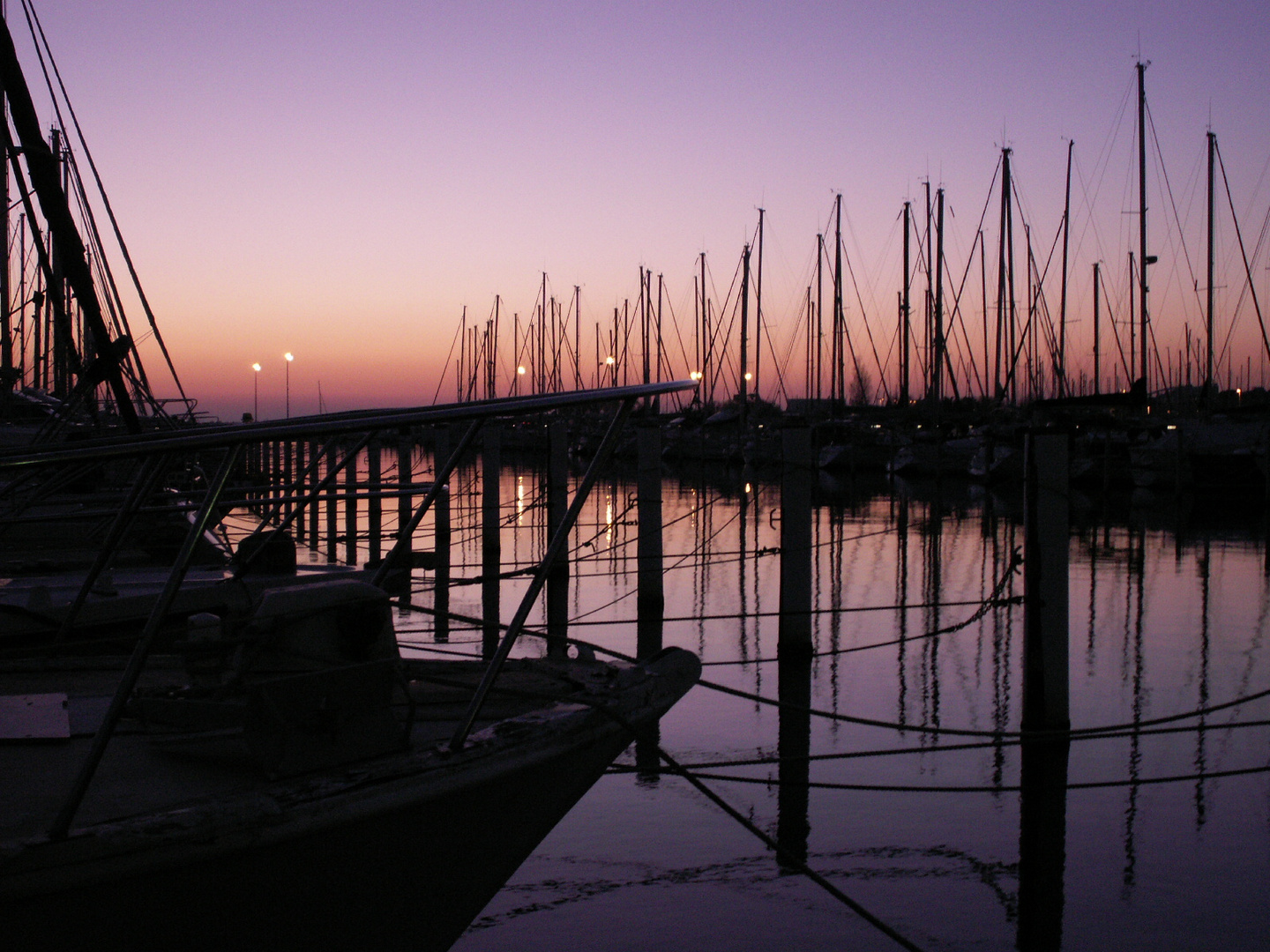 Through the boats