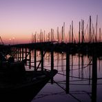 Through the boats