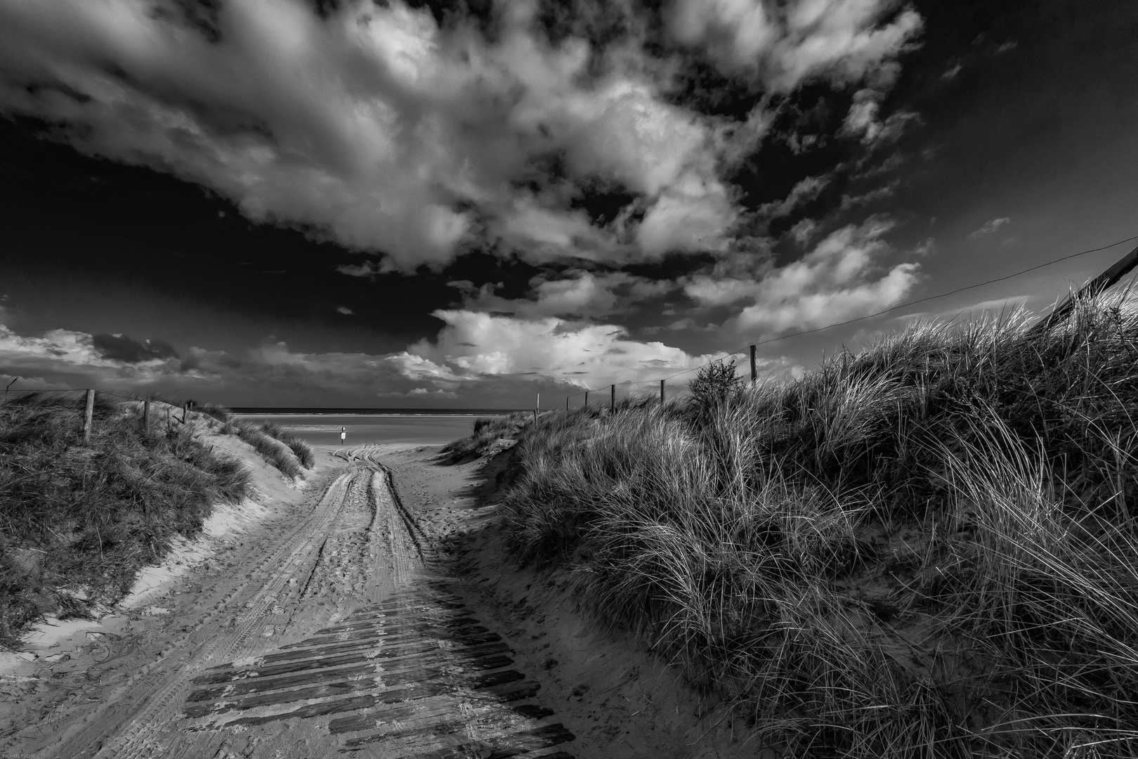 through the dunes