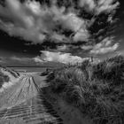 through the dunes