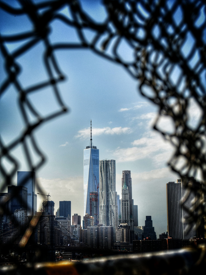 Through the fence