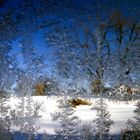 Through the frosted Window