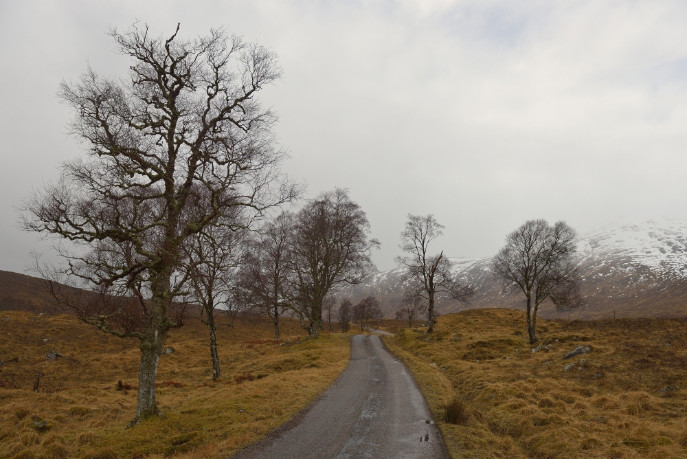 through the highlands