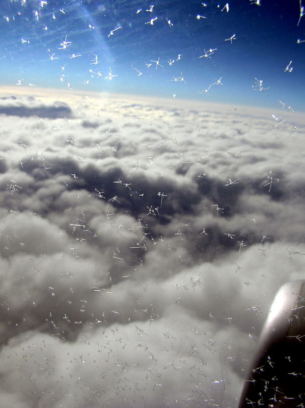 through the icy window