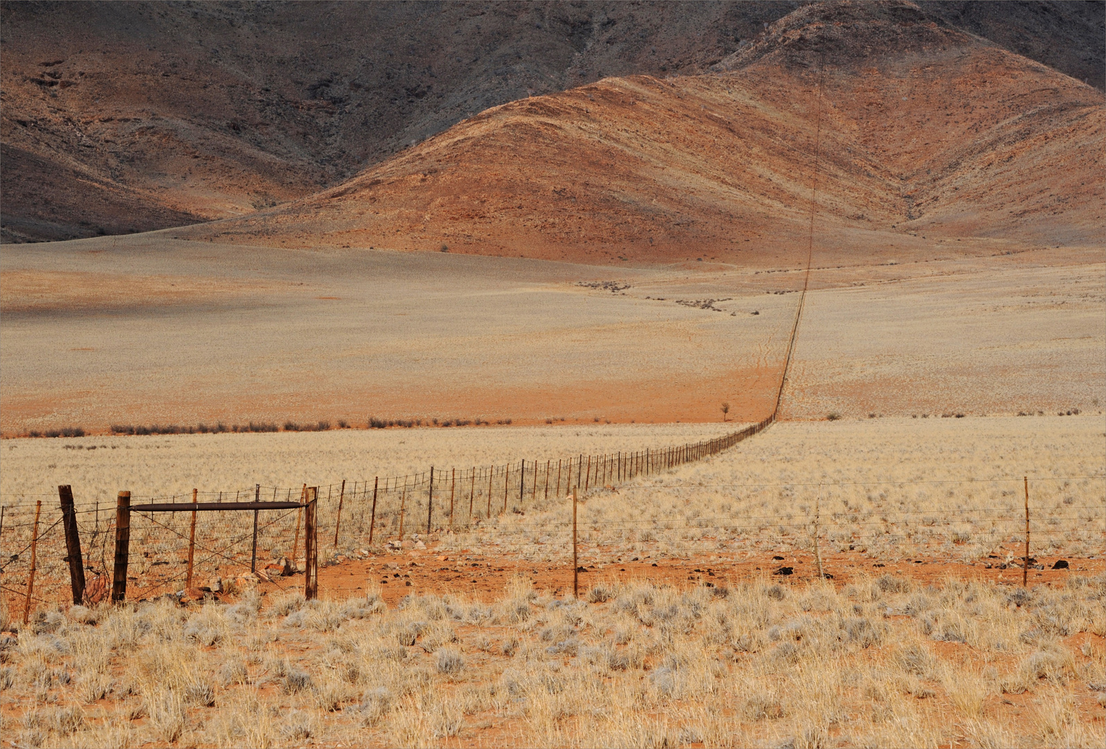 through the Kalahari