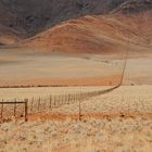 through the Kalahari