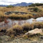 Through the marshes...