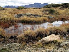 Through the marshes...