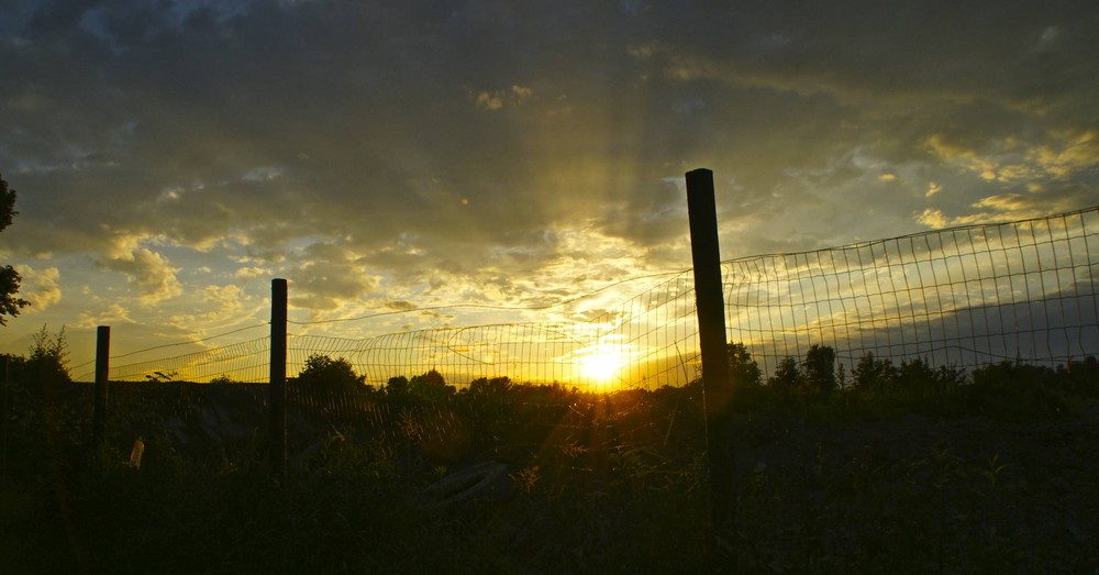 Through the Net